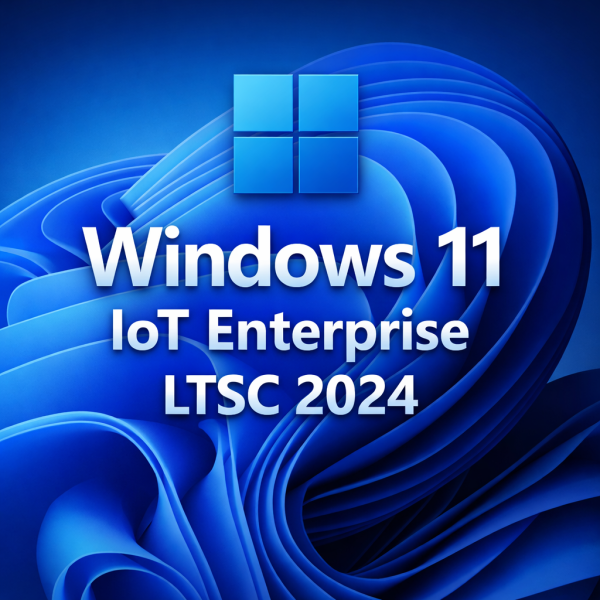 Windows 11 IoT Enterprise LTSC Key – Online Activation__02